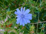 DSC05295.jpg