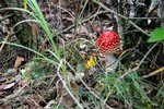 DSC_0257.JPG