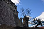 DSC_0031 (2).JPG