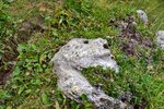 DSC_0440.JPG