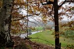 DSC_0253.JPG