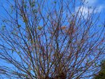 DSC05431.jpg