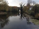 IMG_3942.jpg