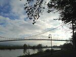 IMG_3923.jpg