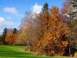 DSC05501.jpg
