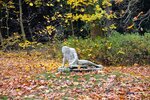 DSC_0250.JPG