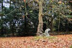 DSC_0265.JPG