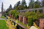 DSC_0163 (1).JPG