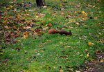 DSC_0132.JPG