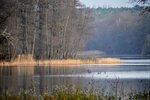 DSC_0160.JPG