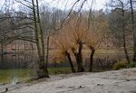 DSC_0218.JPG
