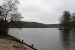 DSC_0248.jpg