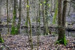 DSC_0202.JPG