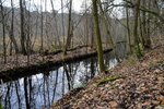 DSC_0206.JPG
