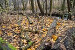 DSC_0208.JPG