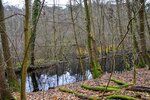 DSC_0211.JPG