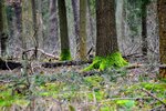 DSC_0245.JPG