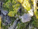 DSC05701.jpg