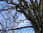 DSC05664.jpg