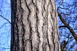 DSC_0235.JPG