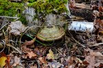 DSC_0379.JPG