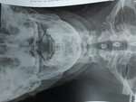 20180110_091950.jpg