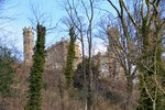 DSC_0366 (1).JPG