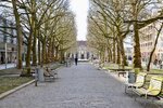 DSC_0044 (1).JPG