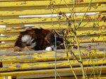 DSC05938.jpg