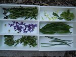 Salat GeburtstagFrühling 048.jpg