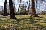 DSC_0188 (3).JPG