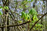DSC_0212.JPG