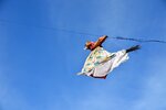 DSC_0401.JPG