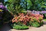 DSC_0473.JPG