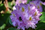 DSC_0843 (1).JPG