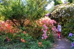 DSC_0466.JPG