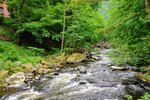 DSC_0029.JPG