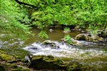 DSC_0165 (1).JPG