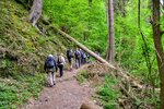 DSC_0181 (1).JPG