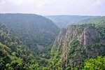 DSC_0329 (1).JPG