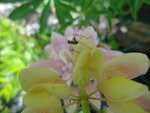 Garten23.5 048.jpg