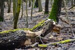 DSC_0204.jpg