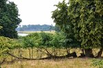 DSC_0017.JPG