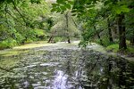 DSC_0043.JPG