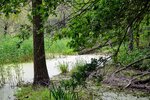 DSC_0036.JPG