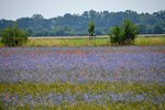 DSC_0120.JPG