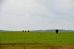 DSC_0473 (2).jpg