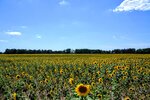 DSC_0483.JPG