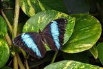 DSC_0288.jpg