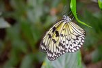DSC_0183.JPG
